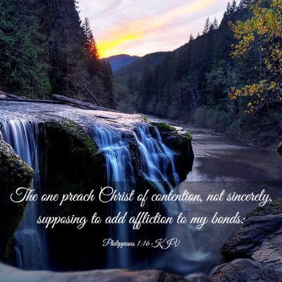 Picture 03 - Philippians 1:16 KJV - The one preach Christ of contention, not - Bible Verse Picture