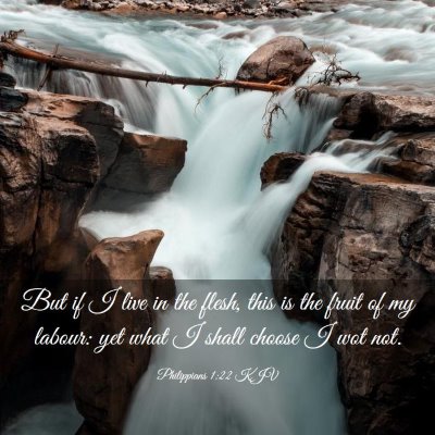 Picture 03 - Philippians 1:22 KJV - But if I live in the flesh, this is the fruit of - Bible Verse Picture