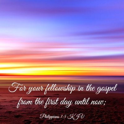 Picture 03 - Philippians 1:5 KJV - For your fellowship in the gospel from the first - Bible Verse Picture