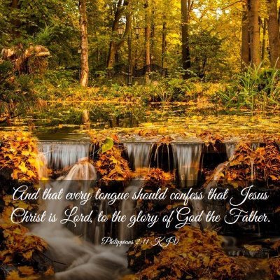 Picture 03 - Philippians 2:11 KJV - And that every tongue should confess that Jesus - Bible Verse Picture