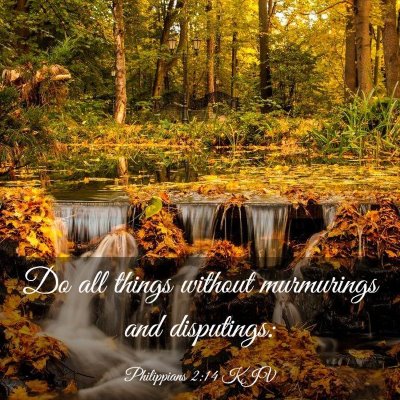 Picture 03 - Philippians 2:14 KJV - Do all things without murmurings and - Bible Verse Picture