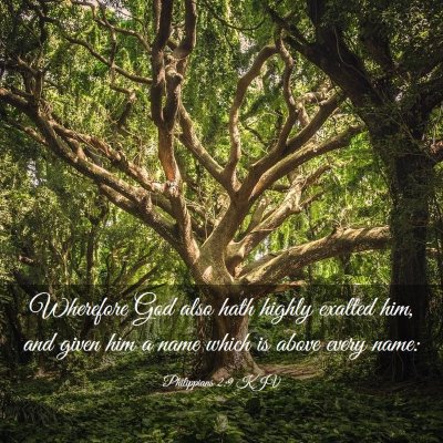 Picture 03 - Philippians 2:9 KJV - Wherefore God also hath highly exalted him, and - Bible Verse Picture