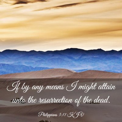 Picture 03 - Philippians 3:11 KJV - If by any means I might attain unto the - Bible Verse Picture