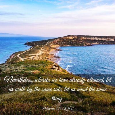 Picture 03 - Philippians 3:16 KJV - Nevertheless, whereto we have already attained, - Bible Verse Picture