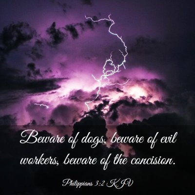 Picture 03 - Philippians 3:2 KJV - Beware of dogs, beware of evil workers, beware of - Bible Verse Picture
