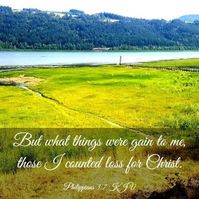 Picture 03 - Philippians 3:7 KJV - But what things were gain to me, those I counted - Bible Verse Picture