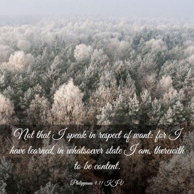 Picture 03 - Philippians 4:11 KJV - Not that I speak in respect of want: for I have - Bible Verse Picture