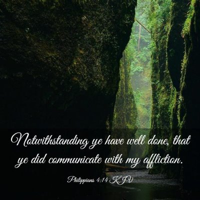 Picture 03 - Philippians 4:14 KJV - Notwithstanding ye have well done, that ye did - Bible Verse Picture