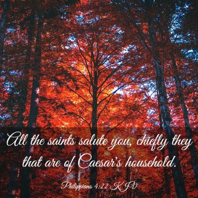Picture 03 - Philippians 4:22 KJV - All the saints salute you, chiefly they that are - Bible Verse Picture