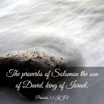 Picture 03 - Proverbs 1:1 KJV - The proverbs of Solomon the son of David, king of - Bible Verse Picture