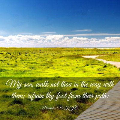 Picture 03 - Proverbs 1:15 KJV - My son, walk not thou in the way with them; - Bible Verse Picture