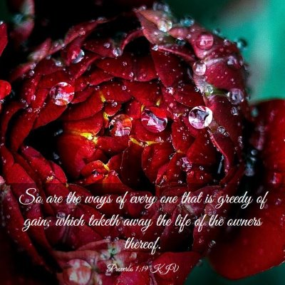 Picture 03 - Proverbs 1:19 KJV - So are the ways of every one that is greedy of - Bible Verse Picture