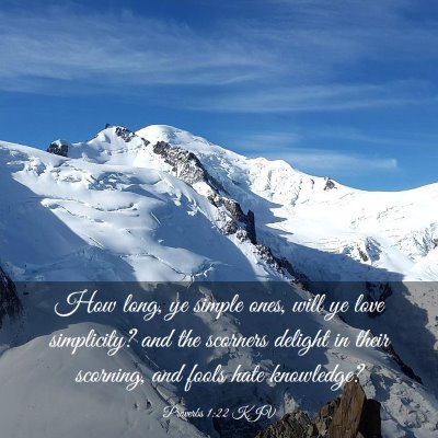Picture 03 - Proverbs 1:22 KJV - How long, ye simple ones, will ye love - Bible Verse Picture