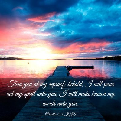Picture 03 - Proverbs 1:23 KJV - Turn you at my reproof: behold, I will pour out - Bible Verse Picture