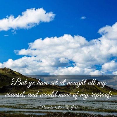 Picture 03 - Proverbs 1:25 KJV - But ye have set at nought all my counsel, and - Bible Verse Picture
