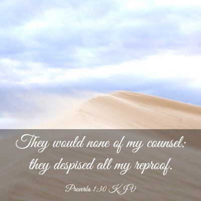 Picture 03 - Proverbs 1:30 KJV - They would none of my counsel: they despised all - Bible Verse Picture