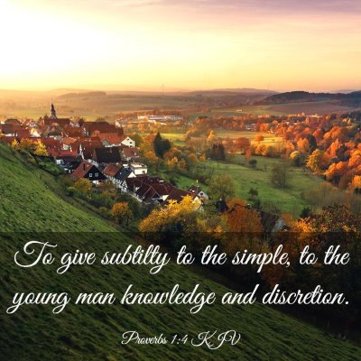 Picture 03 - Proverbs 1:4 KJV - To give subtilty to the simple, to the young man - Bible Verse Picture