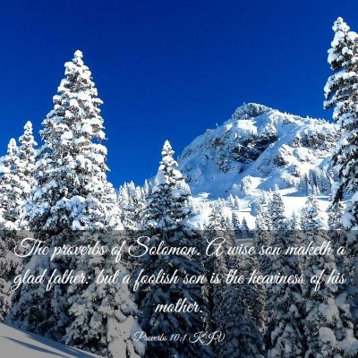 Picture 03 - Proverbs 10:1 KJV - The proverbs of Solomon. A wise son maketh a glad - Bible Verse Picture
