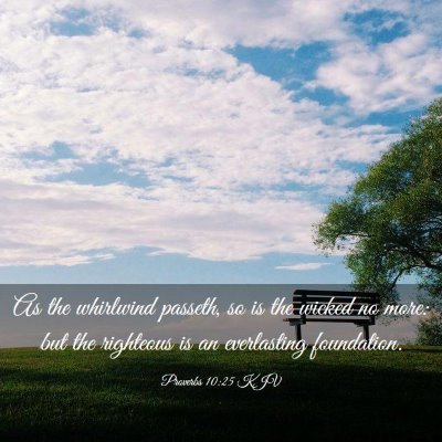 Picture 03 - Proverbs 10:25 KJV - As the whirlwind passeth, so is the wicked no - Bible Verse Picture