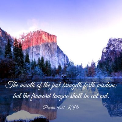 Picture 03 - Proverbs 10:31 KJV - The mouth of the just bringeth forth wisdom: but - Bible Verse Picture