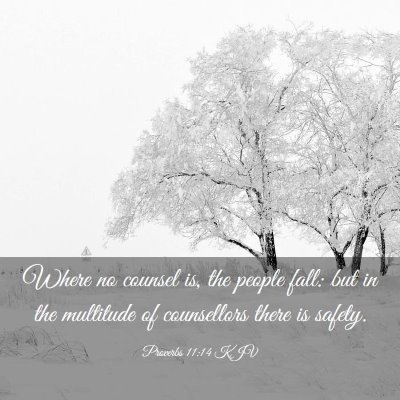Picture 03 - Proverbs 11:14 KJV - Where no counsel is, the people fall: but in the - Bible Verse Picture