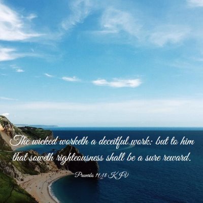 Picture 03 - Proverbs 11:18 KJV - The wicked worketh a deceitful work: but to him - Bible Verse Picture