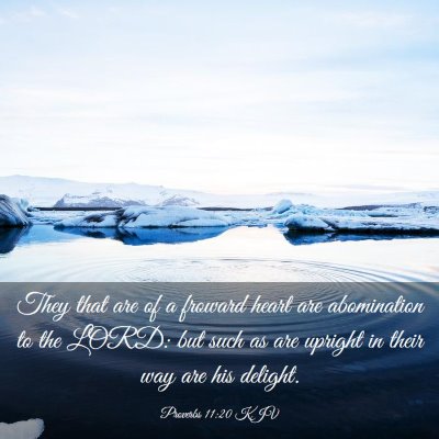 Picture 03 - Proverbs 11:20 KJV - They that are of a froward heart are abomination - Bible Verse Picture