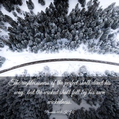 Picture 03 - Proverbs 11:5 KJV - The righteousness of the perfect shall direct his - Bible Verse Picture