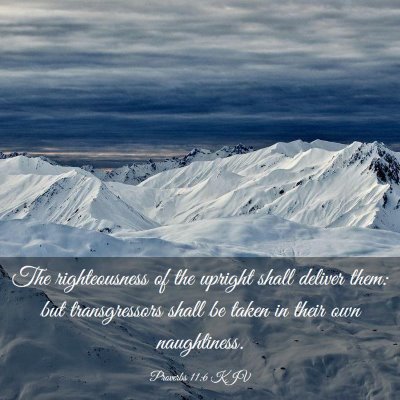 Picture 03 - Proverbs 11:6 KJV - The righteousness of the upright shall deliver - Bible Verse Picture