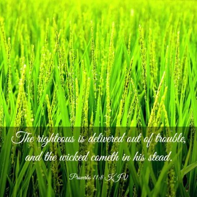 Picture 03 - Proverbs 11:8 KJV - The righteous is delivered out of trouble, and - Bible Verse Picture
