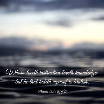 Picture 03 - Proverbs 12:1 KJV - Whoso loveth instruction loveth knowledge: but he - Bible Verse Picture