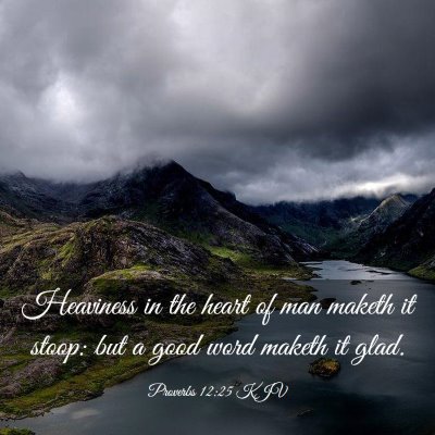 Picture 03 - Proverbs 12:25 KJV - Heaviness in the heart of man maketh it stoop: - Bible Verse Picture