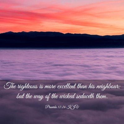 Picture 03 - Proverbs 12:26 KJV - The righteous is more excellent than his - Bible Verse Picture
