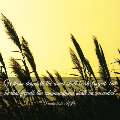 Picture 03 - Proverbs 13:13 KJV - Whoso despiseth the word shall be destroyed: but - Bible Verse Picture
