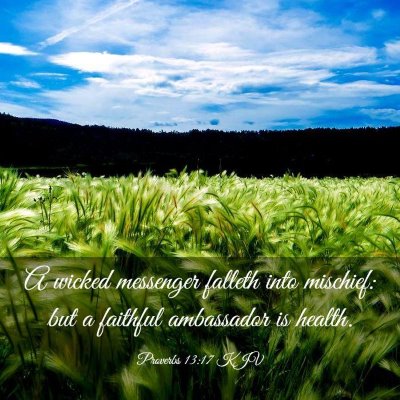 Picture 03 - Proverbs 13:17 KJV - A wicked messenger falleth into mischief: but a - Bible Verse Picture