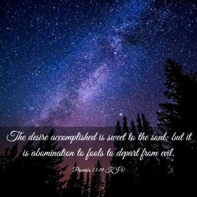 Picture 03 - Proverbs 13:19 KJV - The desire accomplished is sweet to the soul: but - Bible Verse Picture