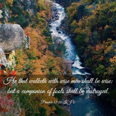 Picture 03 - Proverbs 13:20 KJV - He that walketh with wise men shall be wise: but - Bible Verse Picture