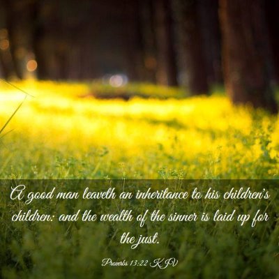 Picture 03 - Proverbs 13:22 KJV - A good man leaveth an inheritance to his - Bible Verse Picture