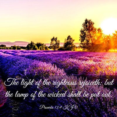 Picture 03 - Proverbs 13:9 KJV - The light of the righteous rejoiceth: but the - Bible Verse Picture