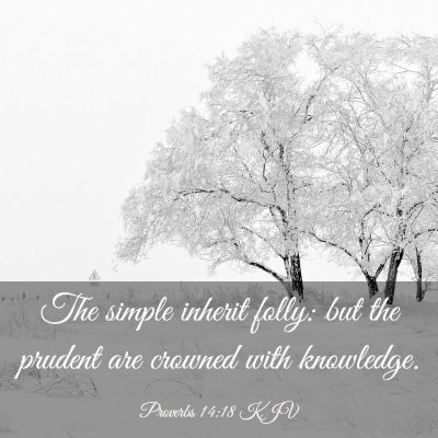 Picture 03 - Proverbs 14:18 KJV - The simple inherit folly: but the prudent are - Bible Verse Picture