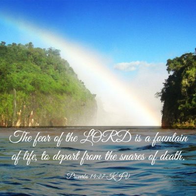 Picture 03 - Proverbs 14:27 KJV - The fear of the LORD is a fountain of life, to - Bible Verse Picture
