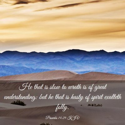 Picture 03 - Proverbs 14:29 KJV - He that is slow to wrath is of great - Bible Verse Picture