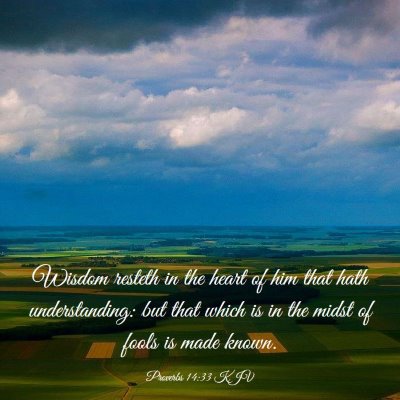 Picture 03 - Proverbs 14:33 KJV - Wisdom resteth in the heart of him that hath - Bible Verse Picture