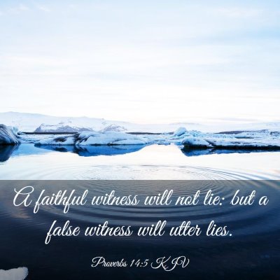 Picture 03 - Proverbs 14:5 KJV - A faithful witness will not lie: but a false - Bible Verse Picture