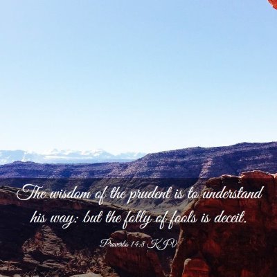 Picture 03 - Proverbs 14:8 KJV - The wisdom of the prudent is to understand his - Bible Verse Picture