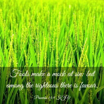 Picture 03 - Proverbs 14:9 KJV - Fools make a mock at sin: but among the righteous - Bible Verse Picture
