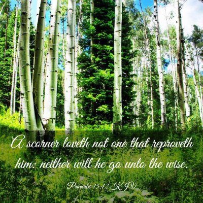 Picture 03 - Proverbs 15:12 KJV - A scorner loveth not one that reproveth him: - Bible Verse Picture