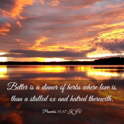 Picture 03 - Proverbs 15:17 KJV - Better is a dinner of herbs where love is, than a - Bible Verse Picture