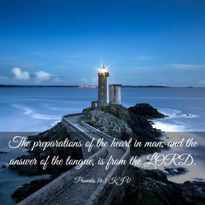 Picture 03 - Proverbs 16:1 KJV - The preparations of the heart in man, and the - Bible Verse Picture