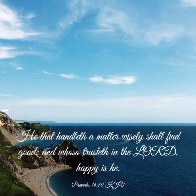 Picture 03 - Proverbs 16:20 KJV - He that handleth a matter wisely shall find good: - Bible Verse Picture